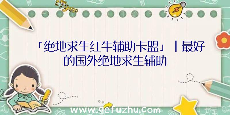 「绝地求生红牛辅助卡盟」|最好的国外绝地求生辅助